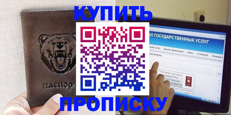 временная регистрация 2025 в Михайловке